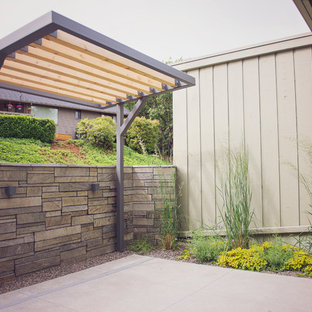 Idee per un piccolo patio o portico minimalista in cortile con un giardino in vaso, ghiaia e una pergola