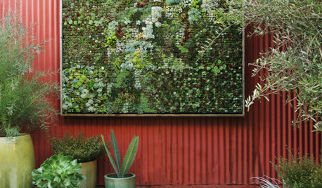 14 idéer för hur du kan dekorera en vägg i trädgården