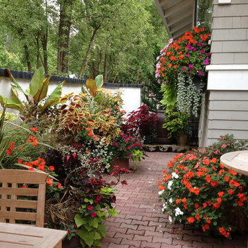 Summer Container Plantings