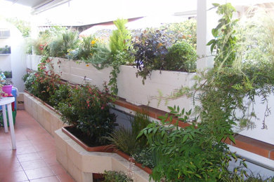 Esempio di un patio o portico mediterraneo di medie dimensioni con un giardino in vaso