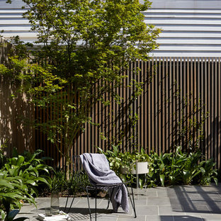 Inspiration for a contemporary backyard patio in Melbourne with tile and no cover.