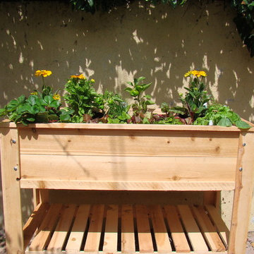 The City Salad Box