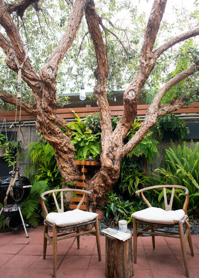 Modern Patio by The Horticult