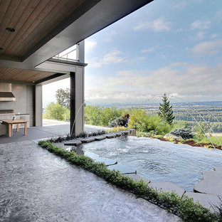 Ispirazione per un ampio patio o portico minimal dietro casa con fontane, cemento stampato e un tetto a sbalzo