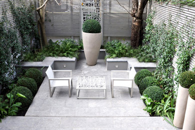 Photo of a small modern patio in London with a potted garden and natural stone paving.