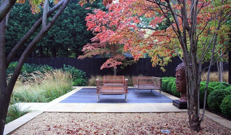 How to Use One-off Special Trees to Add Wow to Your Garden