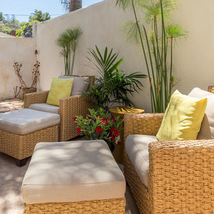 Esempio di un piccolo patio o portico bohémian dietro casa con un giardino in vaso, lastre di cemento e nessuna copertura