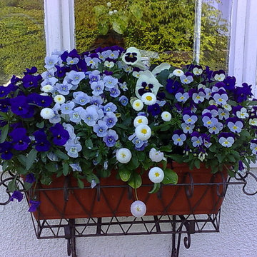 Traditional Patio