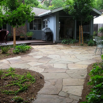 transition from woods to social area