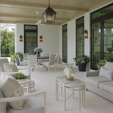 Transitional Palm Beach