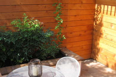 Modelo de patio contemporáneo grande sin cubierta en patio trasero con jardín de macetas y suelo de hormigón estampado
