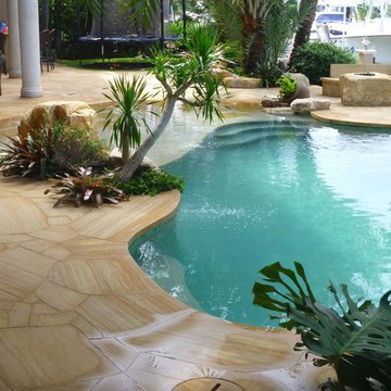 Tropical Backyard Pool Patio