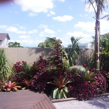 Tropical plant combinations