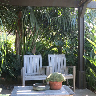 Idee per un piccolo patio o portico tropicale dietro casa con lastre di cemento e una pergola