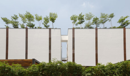 Delhi Houzz: This 30,000-Sq-Ft Home is a Zen Suburban Sanctum