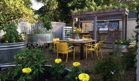 Remake Your Backyard Into a Mini Farm