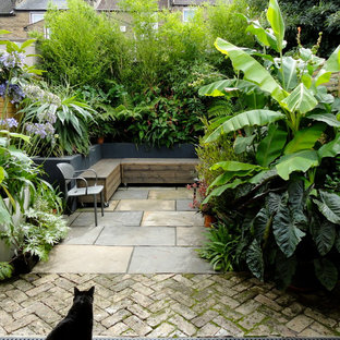 Ispirazione per un patio o portico tropicale con un giardino in vaso e nessuna copertura