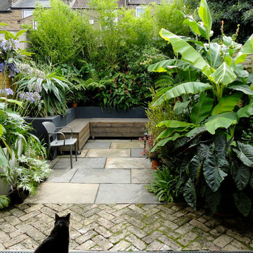 Urban tropical