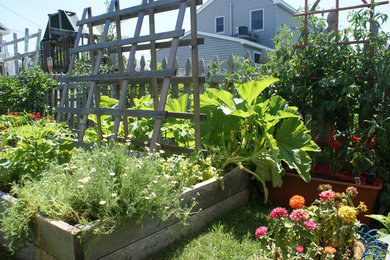 Vegetable & Herb Gardens
