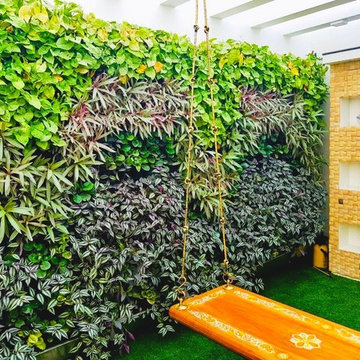 Vertical Garden/Green Walls