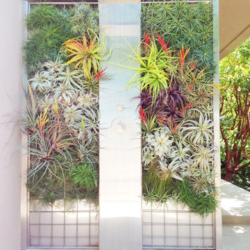 Vertical Gardens