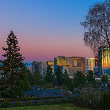 View of Downtown Bellevue from Backyard