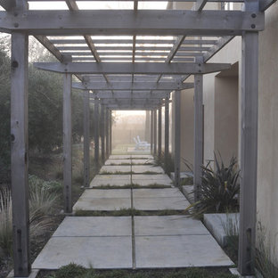 Ispirazione per un patio o portico design di medie dimensioni e nel cortile laterale con una pergola e lastre di cemento