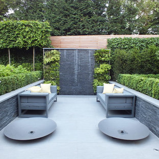 This is an example of a medium sized contemporary patio in Hertfordshire with a living wall and no cover.