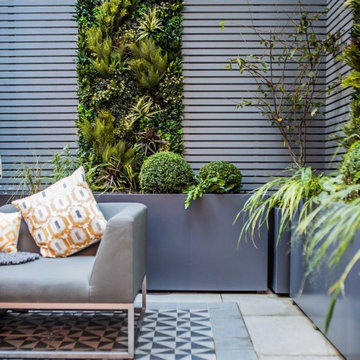 VistaFolia Green Wall - Courtyard Vertical Garden