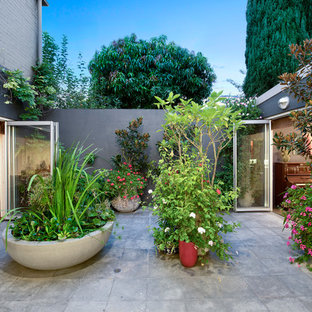 Eclectic courtyard patio in Sydney with concrete pavers and no cover.
