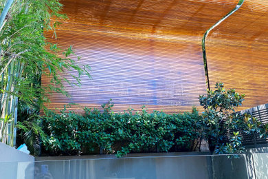 シドニーにあるモダンスタイルのおしゃれなテラス・中庭の写真