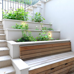This is an example of a small contemporary patio in London with a potted garden and no cover.