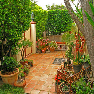 Esempio di un patio o portico eclettico di medie dimensioni e in cortile con un giardino in vaso, piastrelle e nessuna copertura