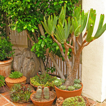 West Hollywood Boutique Garden