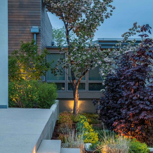 Idee per un grande patio o portico minimalista dietro casa con un focolare, pavimentazioni in cemento e nessuna copertura