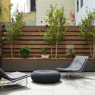 Foto di un patio o portico minimal di medie dimensioni e dietro casa con un giardino in vaso, pavimentazioni in cemento e nessuna copertura