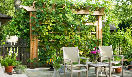 10 Creative Ways to Bring Structure to Your Outdoor Room