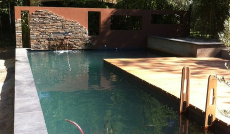 Piscinas naturales: Precios, instalación y mantenimiento