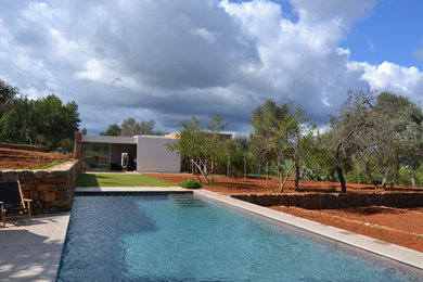 Modelo de casa de la piscina y piscina alargada mediterránea de tamaño medio rectangular en patio delantero