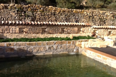 Diseño de piscina natural campestre de tamaño medio con adoquines de piedra natural