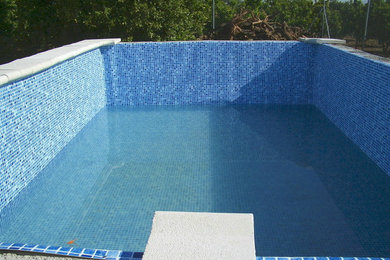 Ejemplo de piscina alargada tradicional renovada de tamaño medio rectangular