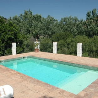 Inspiration for a small country rectangular lap pool in Other with tile.