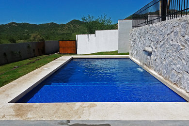 Foto de piscina alargada actual de tamaño medio rectangular en patio trasero