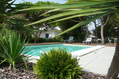 Ejemplo de casa de la piscina y piscina alargada clásica renovada de tamaño medio rectangular