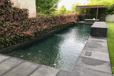 Ejemplo de piscina alargada actual grande rectangular en patio con suelo de hormigón estampado