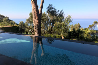 Foto di una grande piscina a sfioro infinito moderna rettangolare davanti casa con pavimentazioni in pietra naturale
