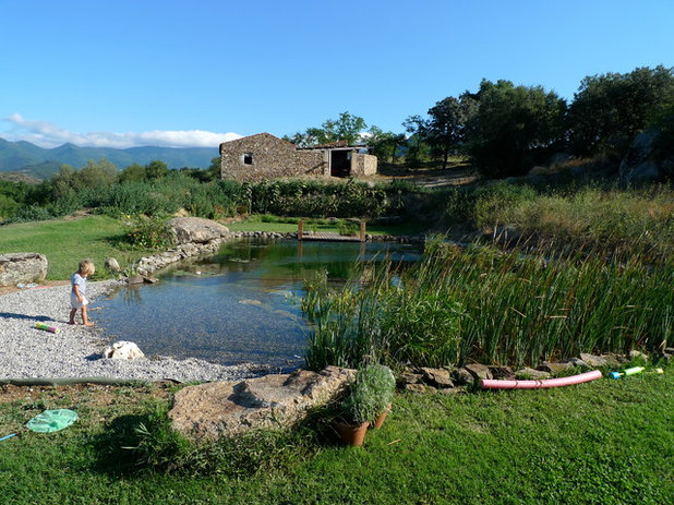 Farmhouse Swimming Pool by Sauvaje