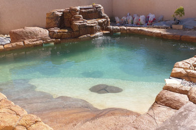 Modelo de piscina natural exótica de tamaño medio a medida en patio trasero con paisajismo de piscina y entablado