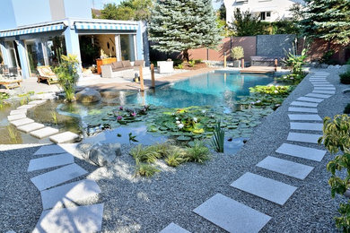 Conversion d'une piscine en baignade écologique