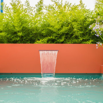 Création d'un jardin exotique avec micro piscine